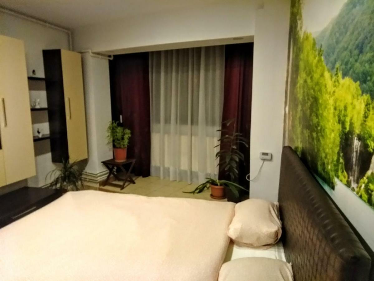Cozy Downtown Oasis Apartment Bukares Bagian luar foto