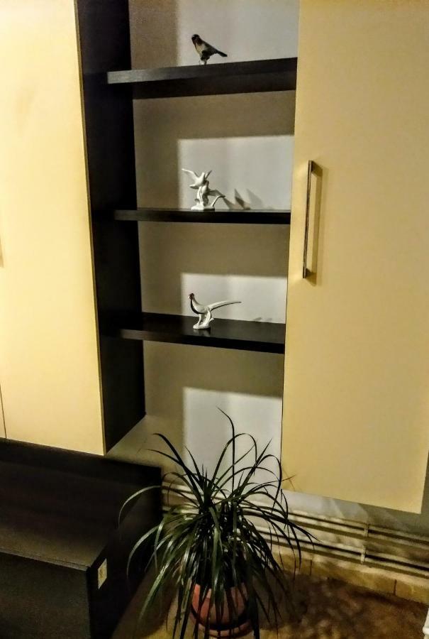 Cozy Downtown Oasis Apartment Bukares Bagian luar foto
