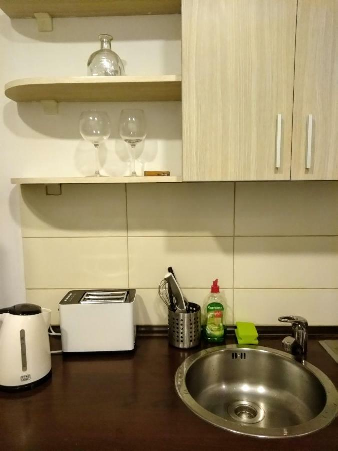 Cozy Downtown Oasis Apartment Bukares Bagian luar foto