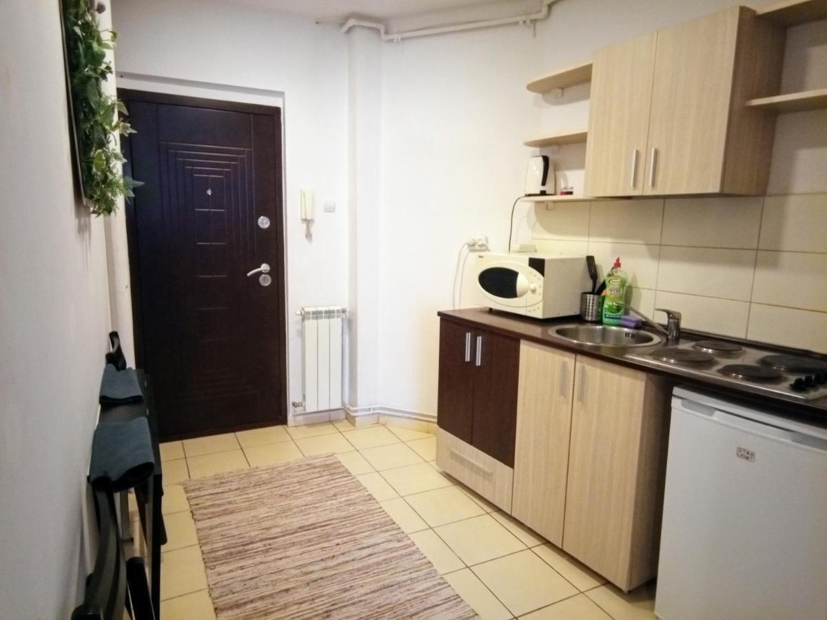 Cozy Downtown Oasis Apartment Bukares Bagian luar foto