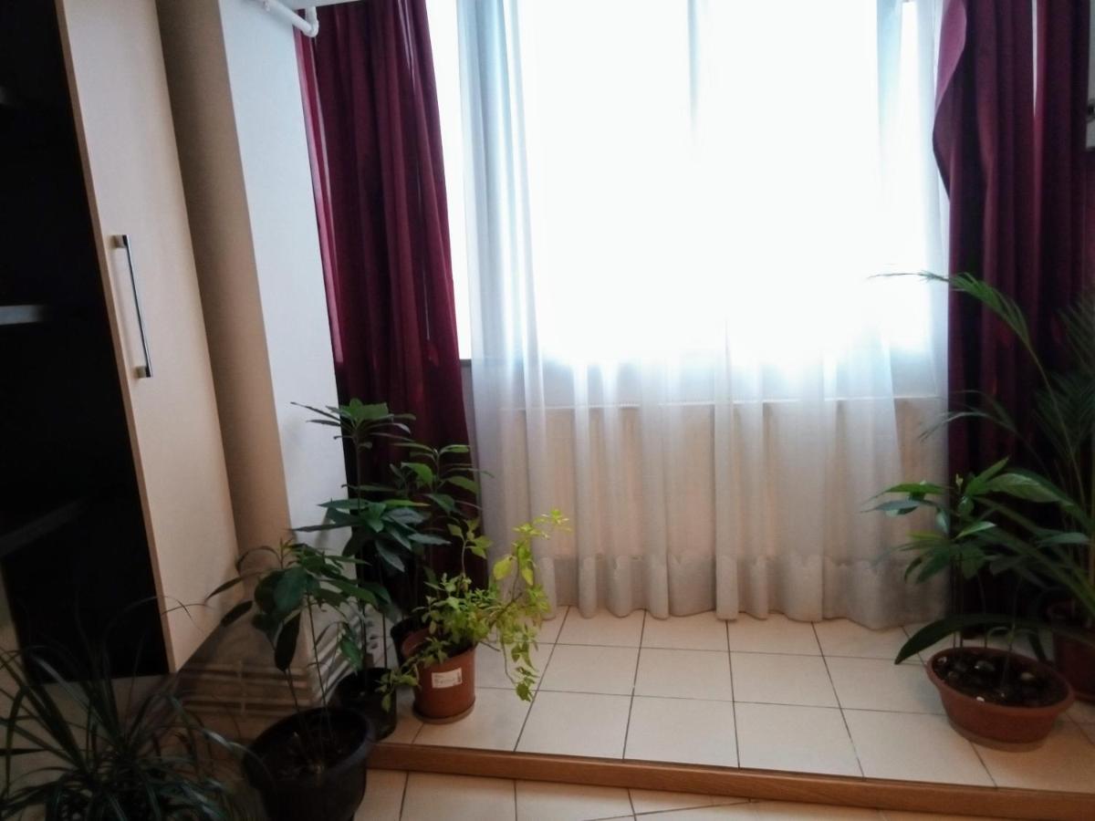 Cozy Downtown Oasis Apartment Bukares Bagian luar foto